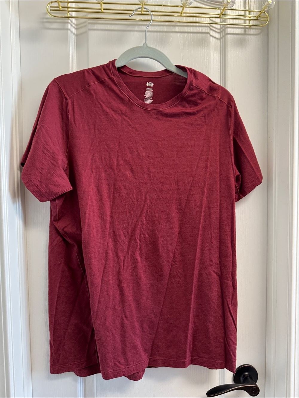 REI women’s  Short Sleeve 100% wool Tee in Burgundy